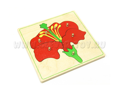 Части цветка (дер.пазлы с контуром) Части цветка (дер.пазлы с контуром)