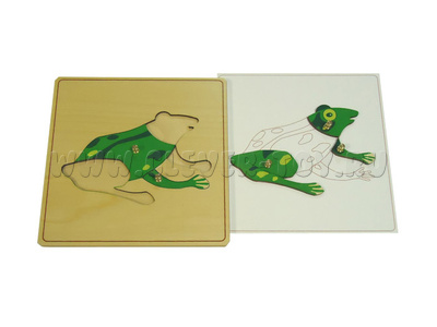 Строение лягушки (дер.пазлы с контуром) Строение лягушки (дер.пазлы с контуром)