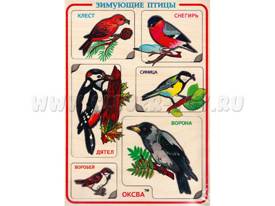 Рамки-вкладыши художественные "Зимующие птицы" Рамки-вкладыши художественные "Зимующие птицы"
