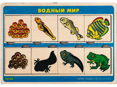 Рамка-вкладыш "Чудеса преображения - Водный мир" Рамка-вкладыш "Чудеса преображения - Водный мир"