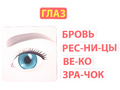 Магнитное развивающее пособие: "Тело человека: первые вопросы - первые ответы" Магнитное развивающее пособие: "Тело человека: первые вопросы - первые ответы"