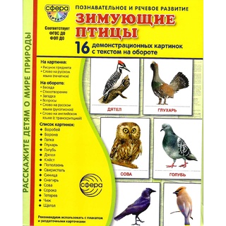 Демонстрационные картинки СУПЕР в папке. Зимующие птицы (16 шт.)