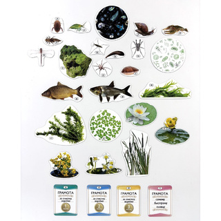 Набор магнитных карточек Сообщество озера (к плакату Водоём, тема 2)