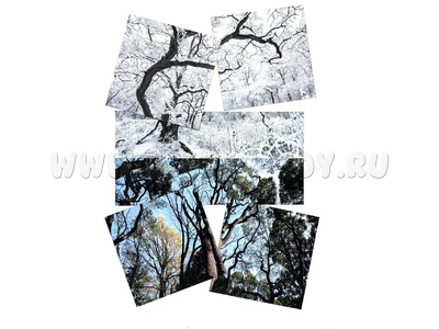 Магнитный плакат Птицы без набора карточек (мобильный)