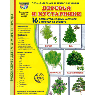 Демонстрационные картинки СУПЕР в папке. Деревья и кустарники (16 шт.)